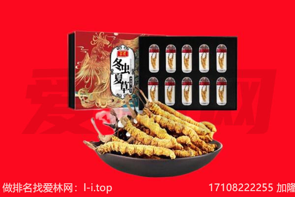 定西市漳县回收虫草.jpg